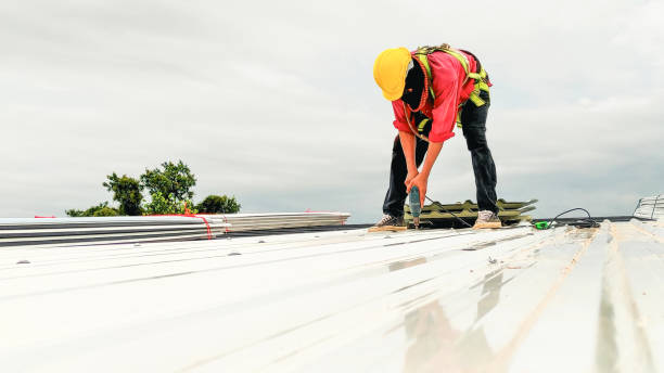 Best Tile Roofing Installation  in Shackle Island, TN